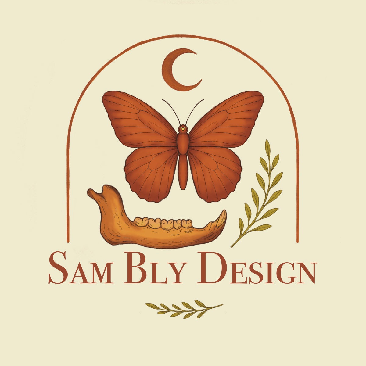 "I Spy" Inspired Shadow Box - Luna Moth Wing, Buckeye Butterfly, Snail Shell - 6"x6"