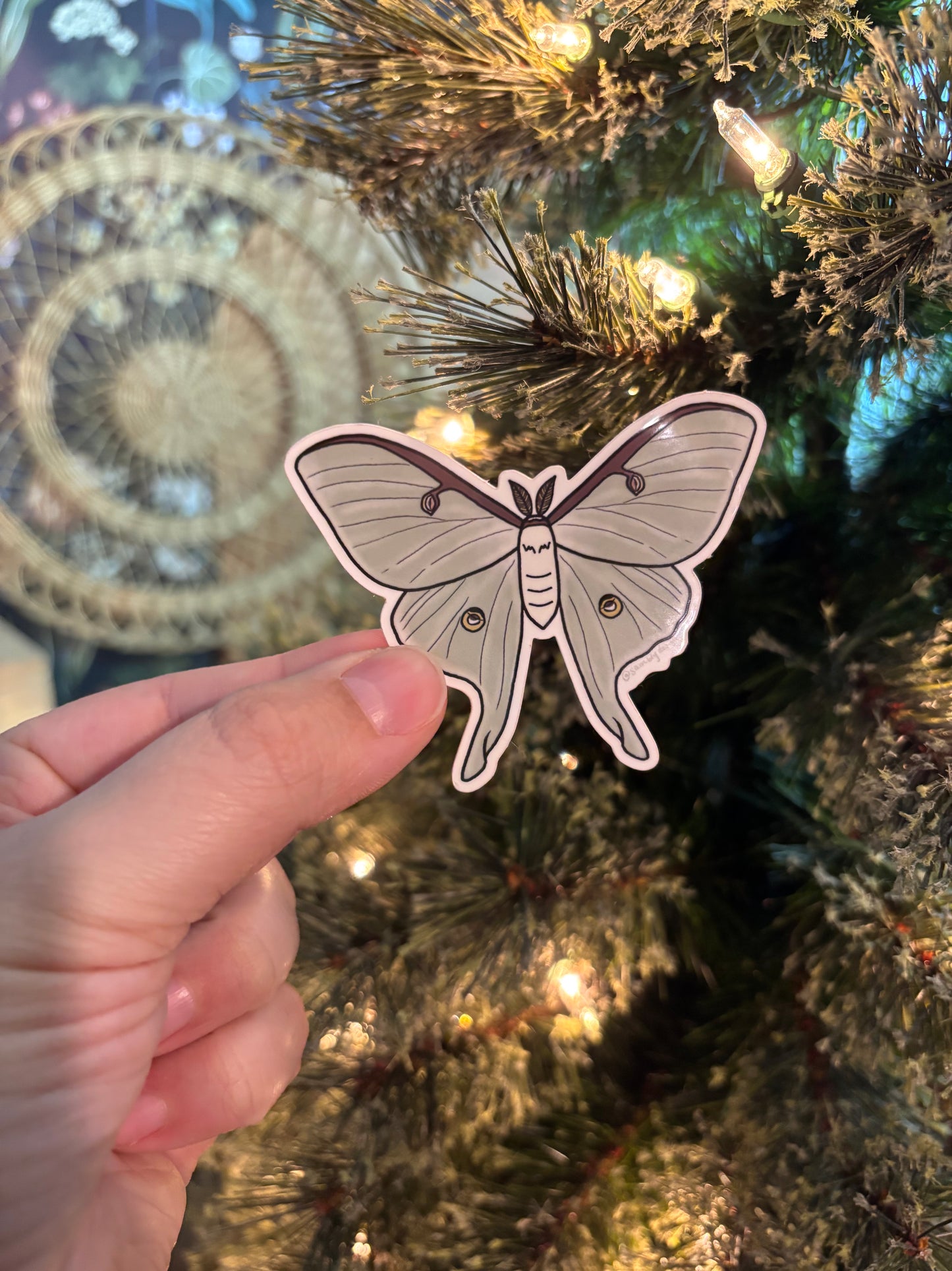 Luna Moth Sticker