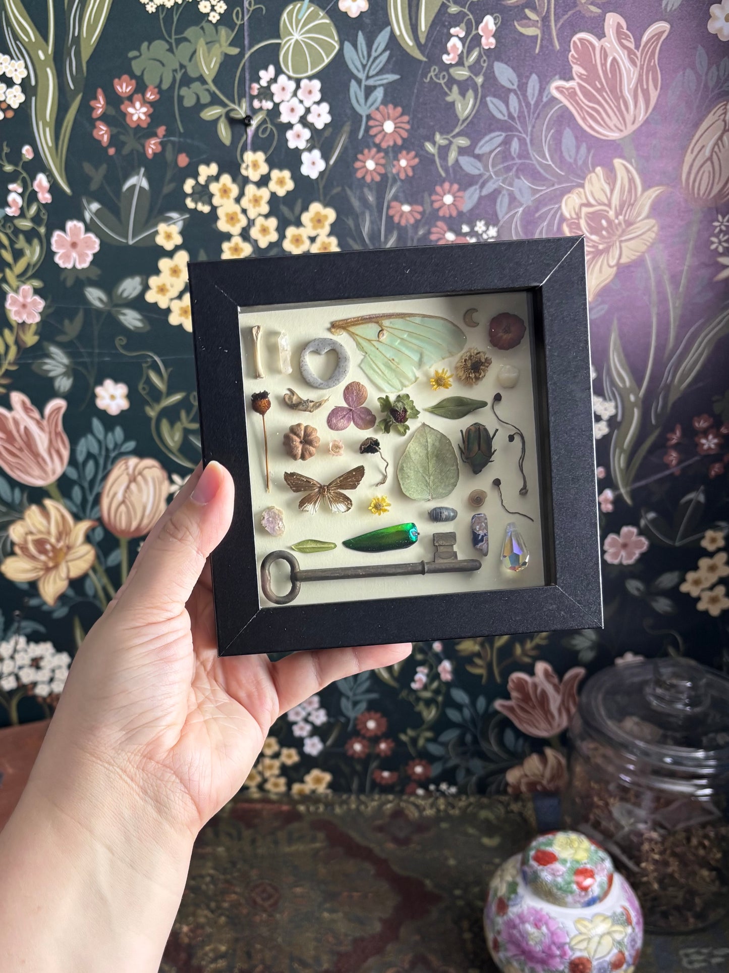 "I Spy" Inspired Shadow Box - Common Moth, June Beetle, Luna Moth Wing - 6"x6"