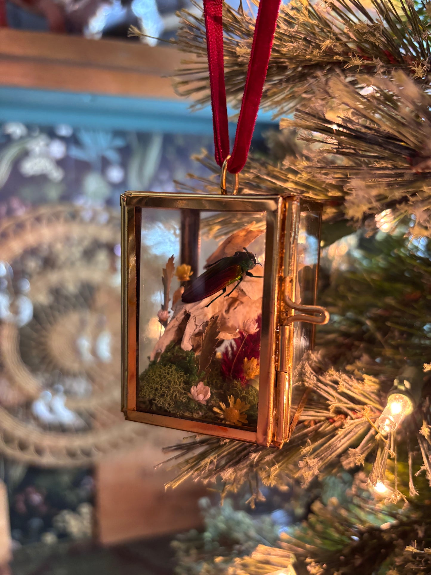 Christmas Ornament - Rainbow Beetle on a Muskrat Skull