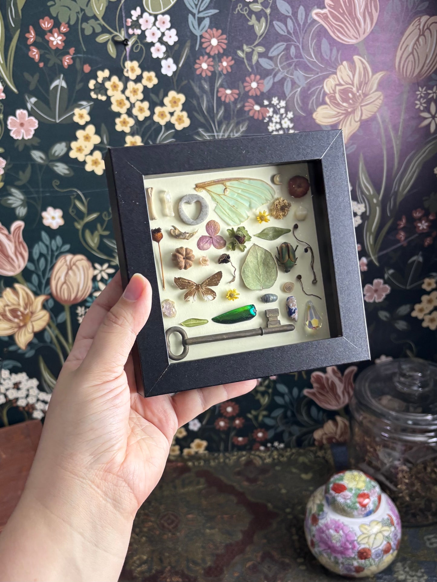 "I Spy" Inspired Shadow Box - Common Moth, June Beetle, Luna Moth Wing - 6"x6"