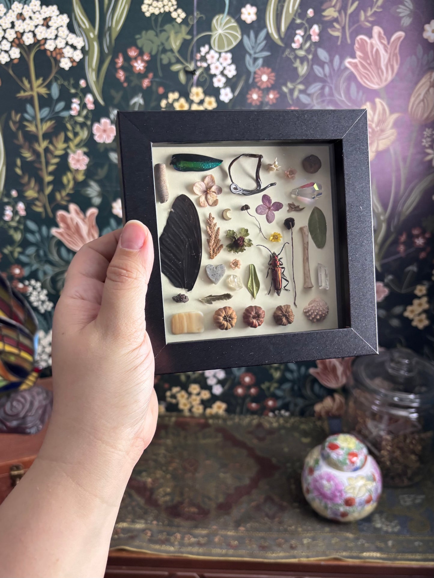 "I Spy" Inspired Shadow Box - Musk Beetle, Swallowtail Butterfly Wing, Dried Snake  - 6"x6"