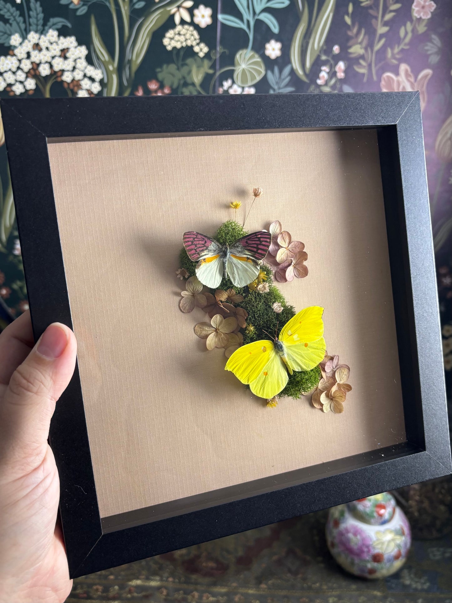 Malagasy Lilac Tipped Butterfly & Orange Brimstone Butterfly on Soft Pink - 8"x8"