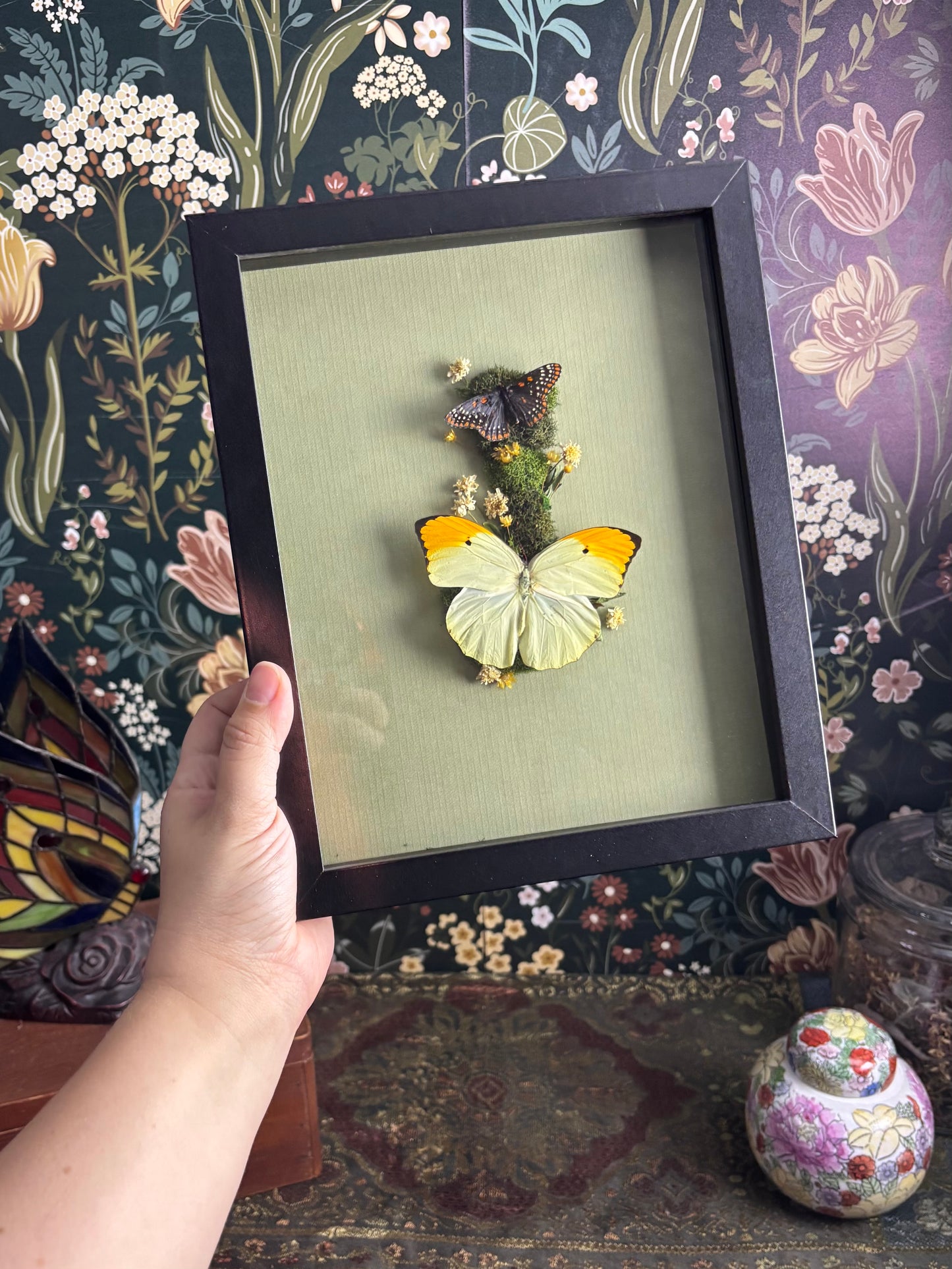 Baltimore Checkerspot Butterfly & Orange-Tipped Sulphur Butterfly on soft, Sage Green - 8"x10"