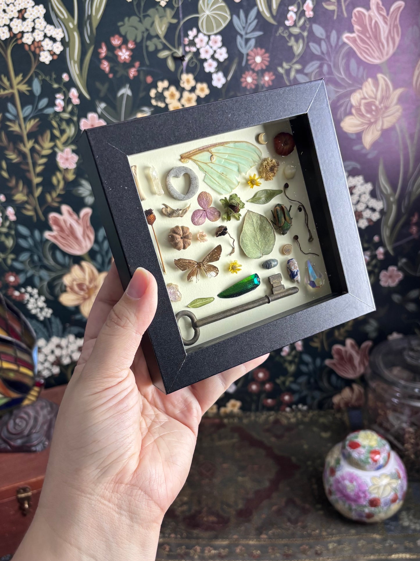 "I Spy" Inspired Shadow Box - Common Moth, June Beetle, Luna Moth Wing - 6"x6"