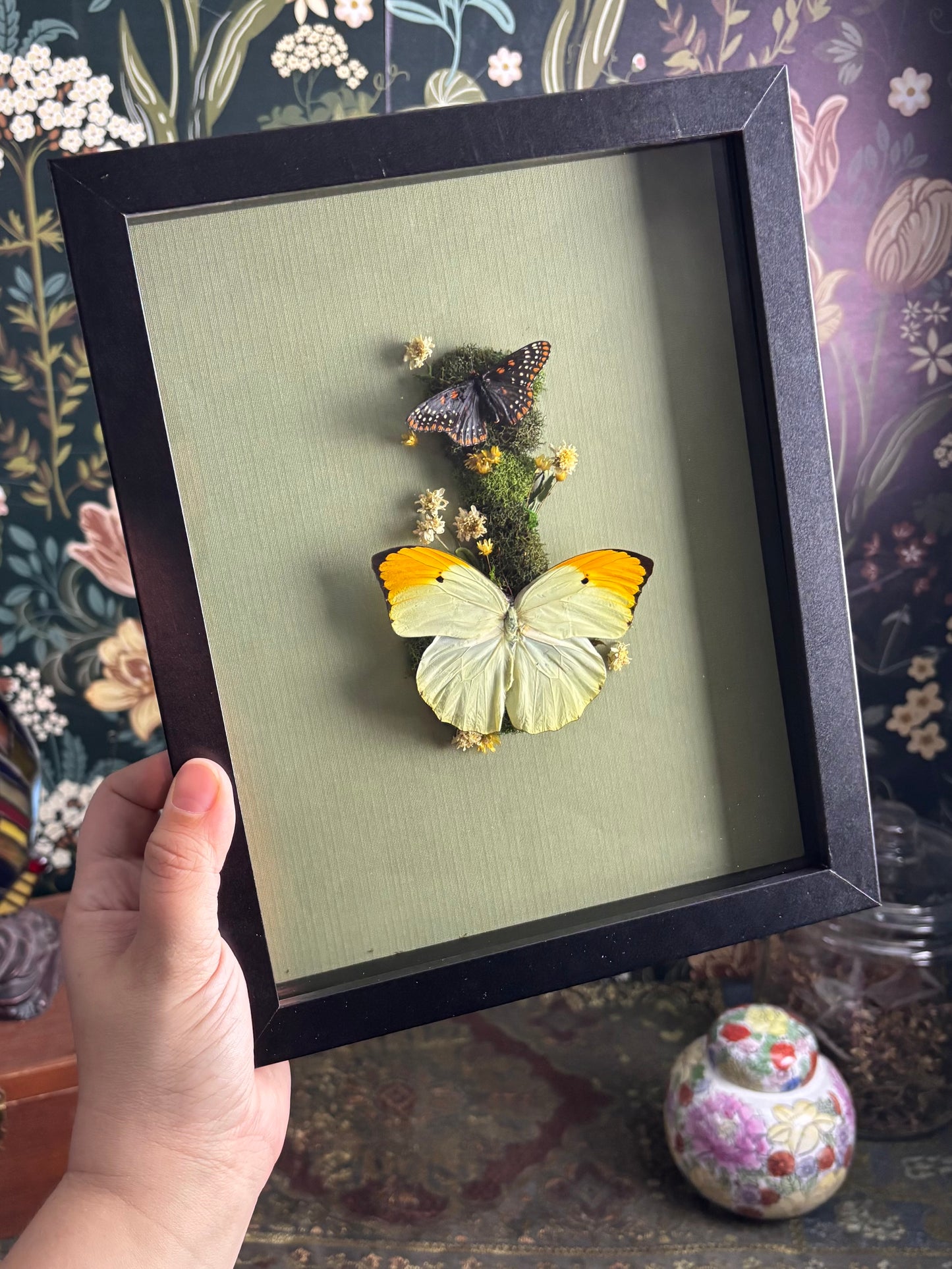 Baltimore Checkerspot Butterfly & Orange-Tipped Sulphur Butterfly on soft, Sage Green - 8"x10"