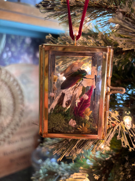 Christmas Ornament - Rainbow Beetle on a Muskrat Skull