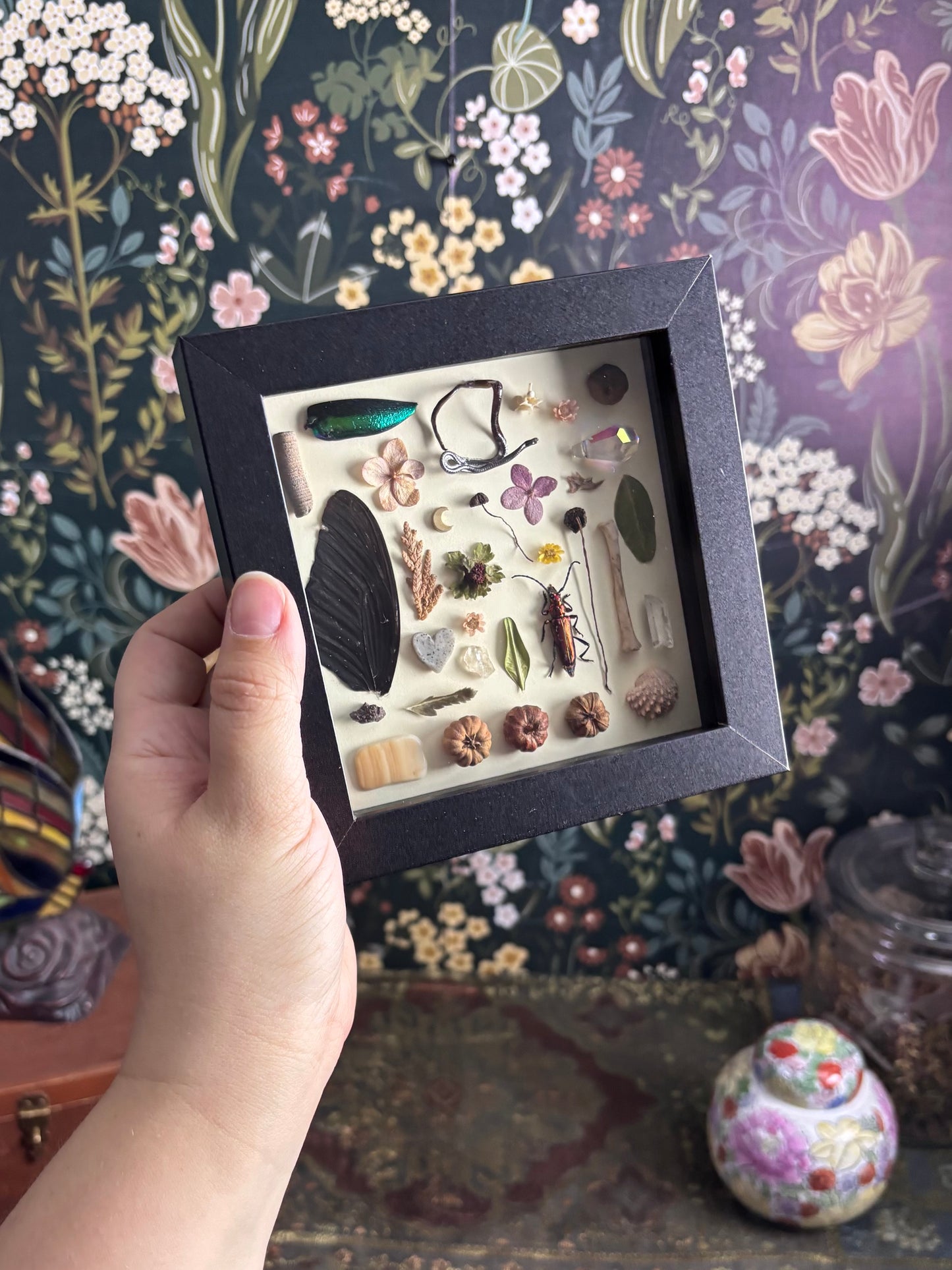 "I Spy" Inspired Shadow Box - Musk Beetle, Swallowtail Butterfly Wing, Dried Snake  - 6"x6"