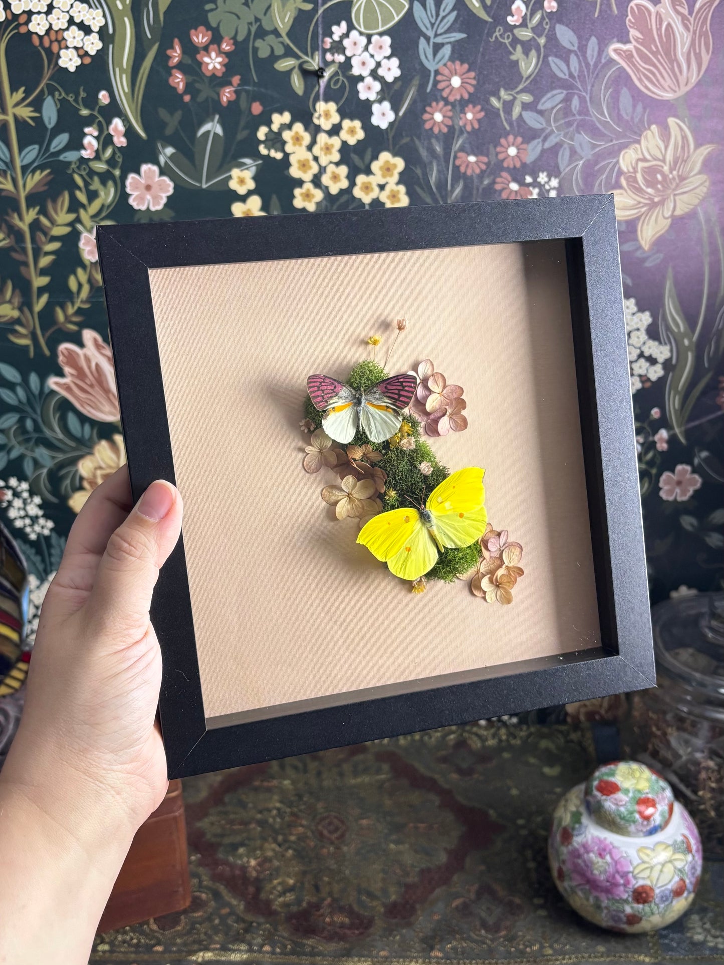 Malagasy Lilac Tipped Butterfly & Orange Brimstone Butterfly on Soft Pink - 8"x8"