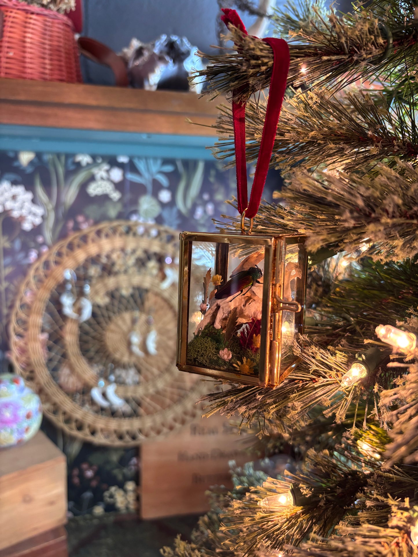 Christmas Ornament - Rainbow Beetle on a Muskrat Skull