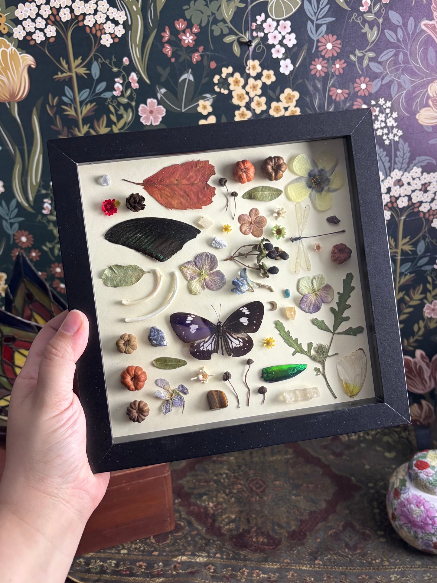 "I Spy" Inspired Shadow Box - Striped Blue Crow Butterfly, Swallowtail Butterfly Wing, Damselfly  - 8"x8"