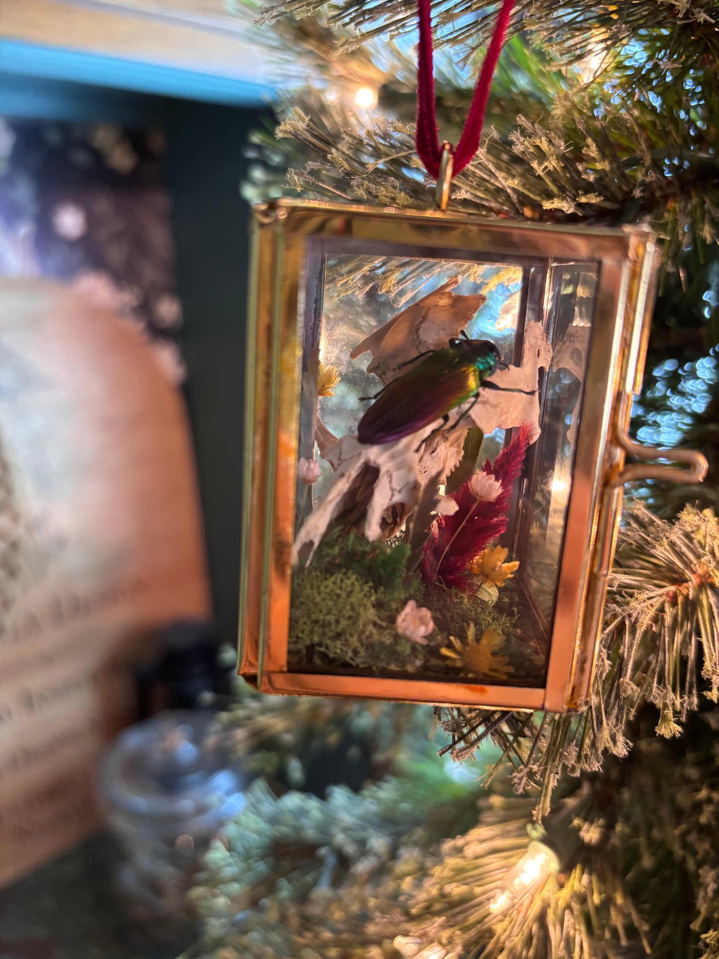 Christmas Ornament - Rainbow Beetle on a Muskrat Skull