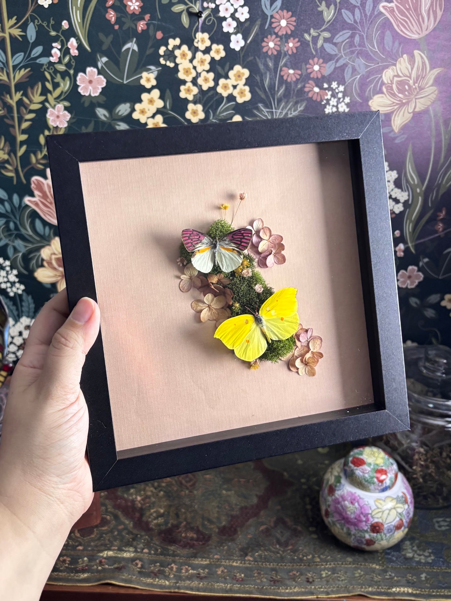 Malagasy Lilac Tipped Butterfly & Orange Brimstone Butterfly on Soft Pink - 8"x8"