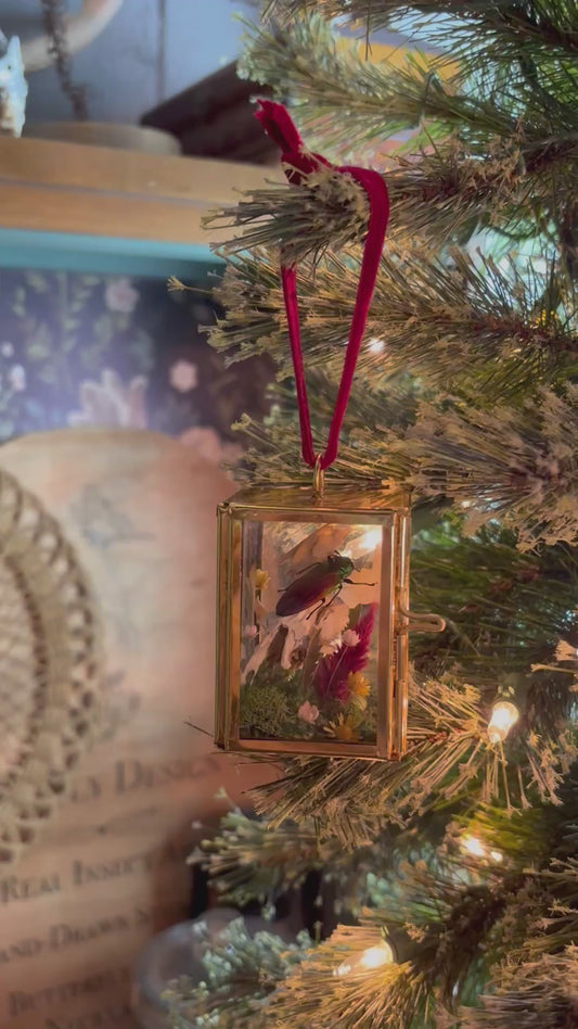 Christmas Ornament - Rainbow Beetle on a Muskrat Skull